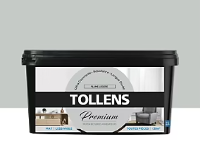 Peinture Tollens premium murs, boiseries et radiateurs plume légère mat 2,5L