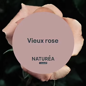 Peinture murs et boiseries Naturéa par GoodHome vieux rose velours 2L