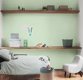 Peinture murs et boiseries Color Resist Dulux Valentine satin vert saule 2,5L