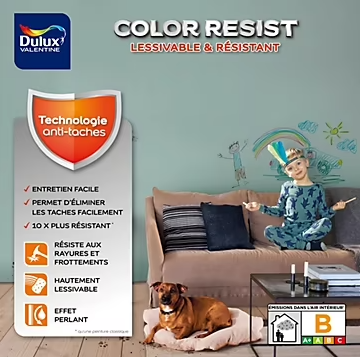 Peinture murs et boiseries Color Resist Dulux Valentine satin blanc pur 0,75L