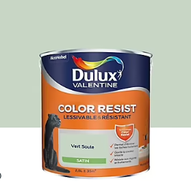 Peinture murs et boiseries Color Resist Dulux Valentine satin vert saule 2,5L