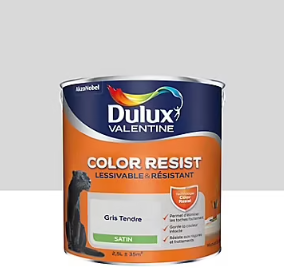 Peinture murs et boiseries Color Resist Dulux Valentine satin gris tendre 2,5L