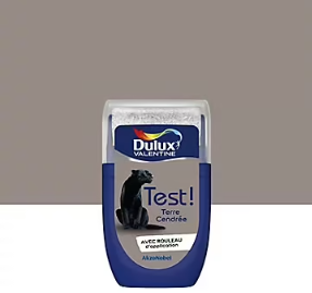 Testeur de peinture Crème De Couleur Dulux Valentine terre cendrée 30 ml