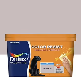 Peinture couleur murs et boiseries color resist Dulux Valentine taupe clair mat 2,5L