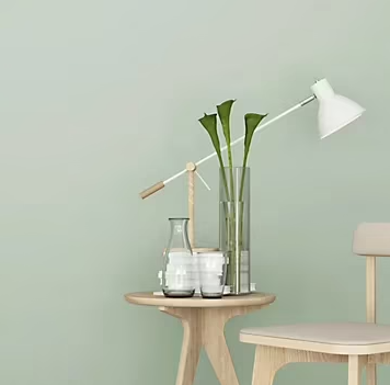 Peinture murs et plafonds Biorigine Tollens velours serre 0,5L