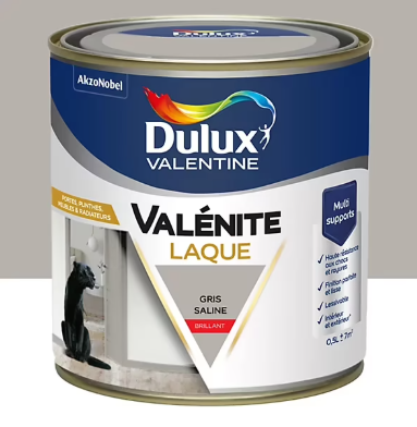 Laque Valénite Dulux Valentine Acrylique brillant blanc gris saline 500ml