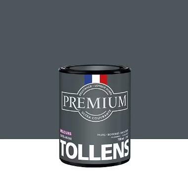 Peinture Tollens premium murs, boiseries et radiateurs gris ardoise velours 750ml