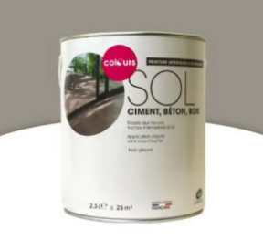 Peinture sol intérieur/extérieur Colours terre cendrée satin 2,5L