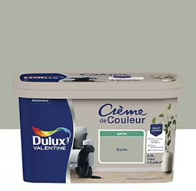 Peinture couleur murs, boiseries et radiateurs Crème de couleur Dulux Valentine vert saule satin 2,5L