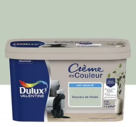 Peinture intérieure couleur Crème De Couleur Dulux Valentine mat vert douceur de l'aube 2.5L