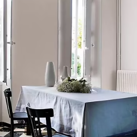 Peinture murs et boiseries Tollens Mise en teinte ceruse mat velours 3L