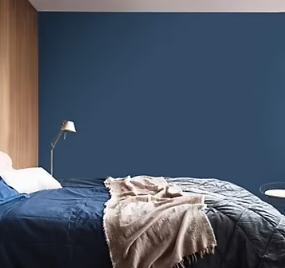 Peinture couleur murs et boiseries color resist Dulux Valentine zinc bleu mat 2,5L