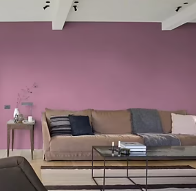 Peinture intérieure couleur Crème De Couleur Dulux Valentine mat violet figue 2.5L