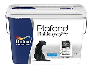Peinture plafond finition parfaite Dulux Valentine blanc mat 5L