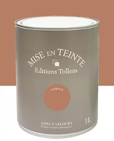 Peinture Tollens Mise en teinte murs, meubles et boiseries marron coquille 3L