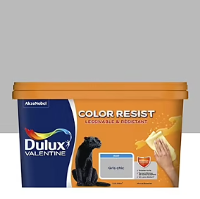 Peinture couleur murs et boiseries color resist Dulux Valentine gris chic mat 2,5L