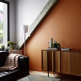 Peinture murs et boiseries Tollens Mise en teinte cuir mat velours 3L