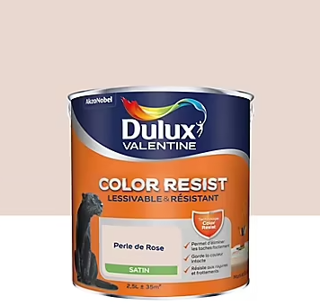 Primaire universelle BLANCHON incolore 1 L