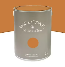 Peinture murs et boiseries Tollens Mise en teinte cuir mat velours 3L
