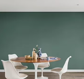 Peinture couleur murs, boiseries et radiateurs Crème de couleur Dulux Valentine vert eucalyptus satin 1,25L