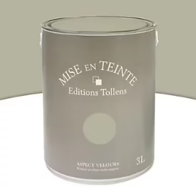 Peinture murs et boiseries Tollens Mise en teinte eucalyptus mat velours 3L