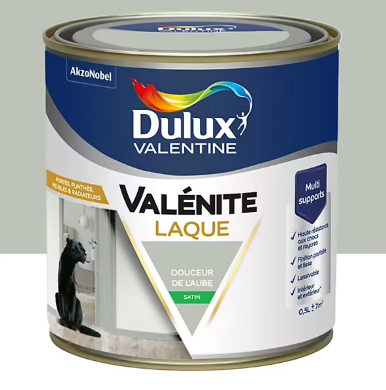 Laque Valénite Dulux Valentine Acrylique satin vert douceur de l'aube 500ml