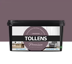 Peinture Tollens premium murs, boiseries et radiateurs la belle époque mat 2,5L