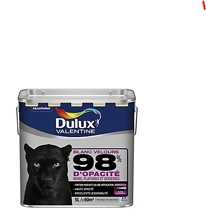 Peinture murs plafonds et boiseries Dulux Valentine 98% monocouche velours blanc 5L