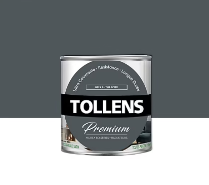 Peinture Tollens premium murs, boiseries et radiateurs gris anthracite satin 0,75L