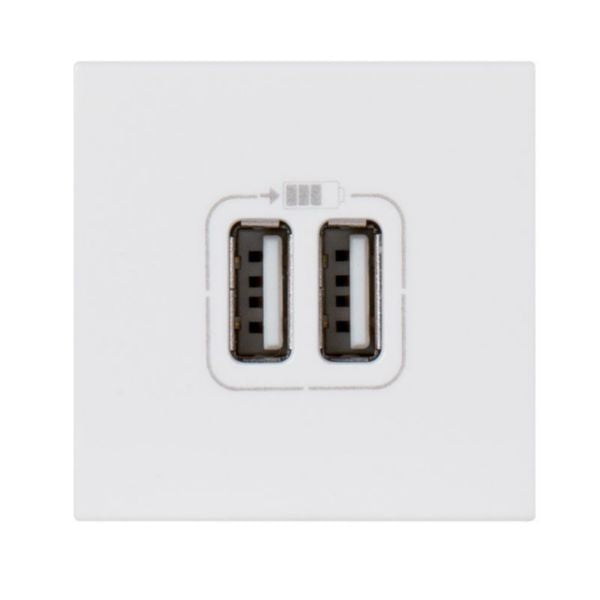 MOSAIC®2 USB charger socket 2 USB sockets in smooth white PVC 2 modules