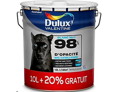 Peinture murs plafonds et boiseries Dulux Valentine 98% monocouche mat blanc