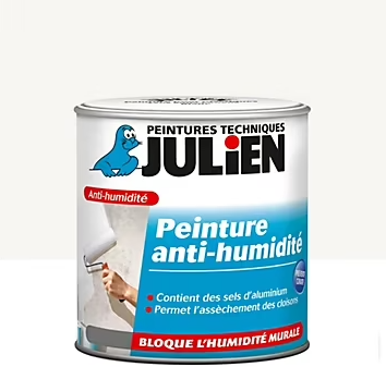 Peinture anti humidité Julien blanc satiné 2,5L