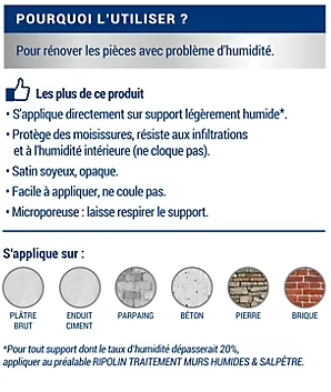 Peinture anti-humidité intérieur satin gris lome Ripolin 2,5L