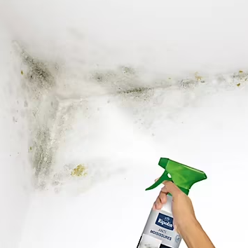 Traitement anti-moisissures intérieur extérieur Ripolin 0,5L