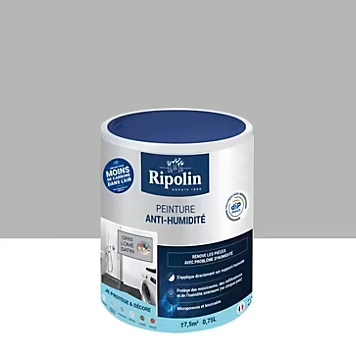 Peinture anti-humidité intérieur satin gris lome Ripolin 0,75L