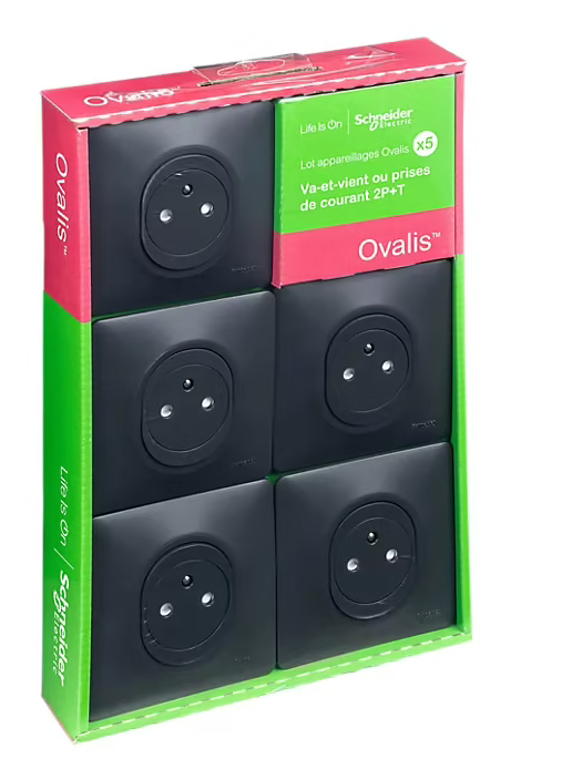 5 prises de courant avec terre affleurante Schneider Electric Ovalis anthracite