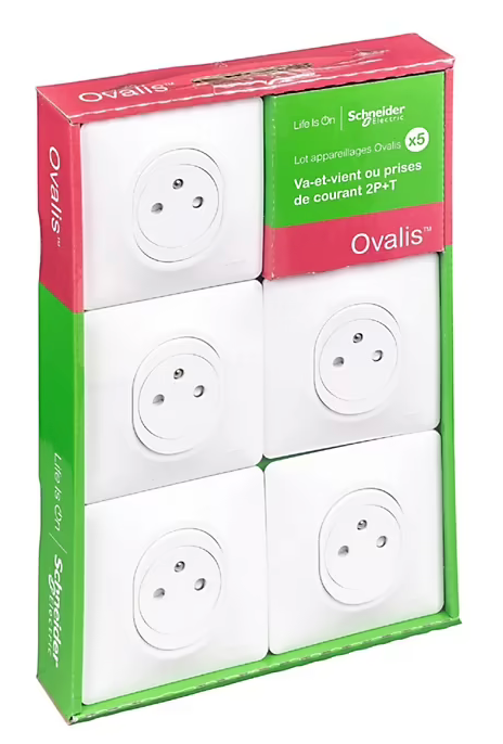 5 prises affleurantes Ovalis B 2 ports avec terre Schneider Electric