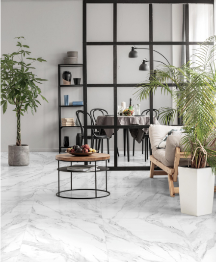 Carrelage sol / mur effet marbre blanc Dolomie l.60.4 x L.60.4 cm FRASSINORO GRE