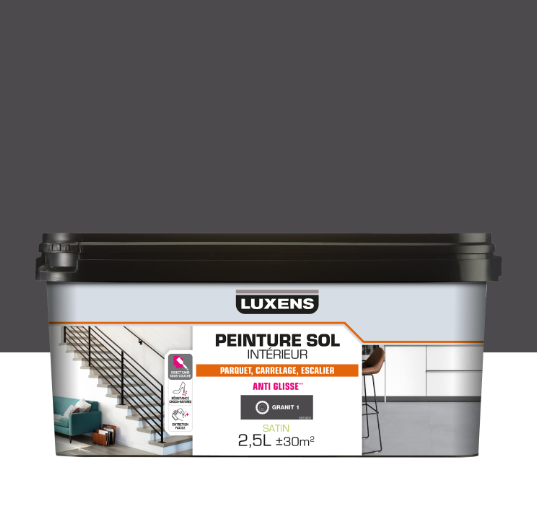 Peinture sol, carrelage / parquet / laminé Intérieur LUXENS, granit 1 satiné, 2.