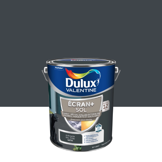 Peinture sol Ecran + DULUX VALENTINE, gris anthracite satiné, 5 l