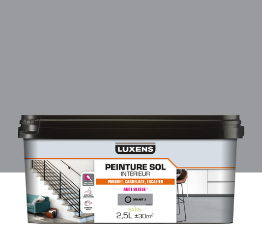 Peinture sol, carrelage / parquet / laminé Intérieur LUXENS, granit 3 satiné, 2.