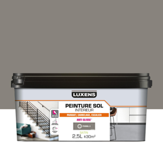 Peinture sol, carrelage / parquet / laminé Intérieur LUXENS, fossil 3 satiné, 2.