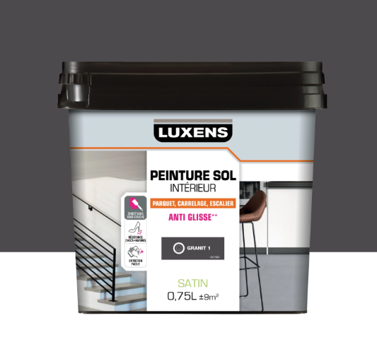 Peinture sol, carrelage / parquet / laminé Intérieur LUXENS, granit 1 satiné, 0.