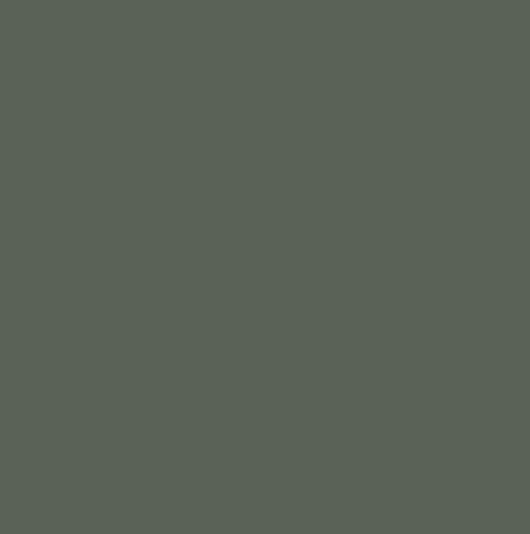 Peinture sol Absolue OXI, RAL 7009, gris vert satiné, 2.5 l