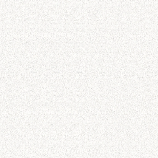 Primaire D'accrochage pour peinture à effet, blanc, 2.5l