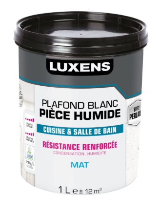 Peinture plafond blanc mat LUXENS Pièces humides 1L