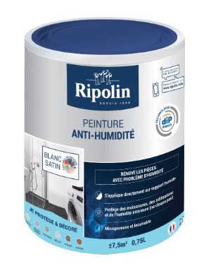 Peinture anti-humidité mur blanc satin RIPOLIN Dip etanch 0.75l
