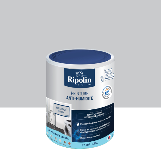 Peinture anti-humidité gris lomé satin RIPOLIN Dip etanch 0.75l