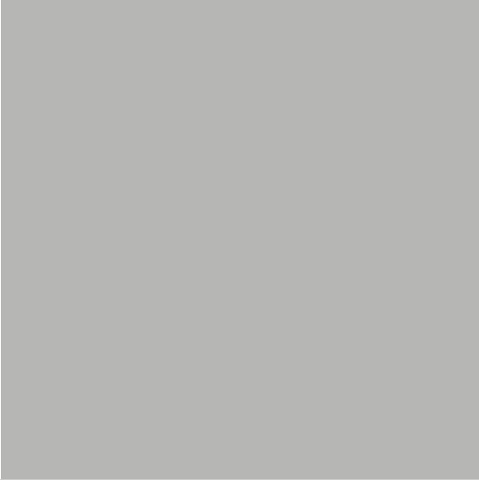 Peinture anti-humidité gris lomé satin RIPOLIN Dip etanch 0.75l