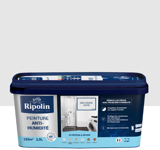 Peinture anti-humidité gris souris satin RIPOLIN Dip etanch 2.5l